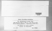 Image Associated With the Occurence